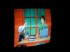 pict0067
