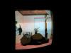 pict0079