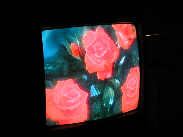 pict0039